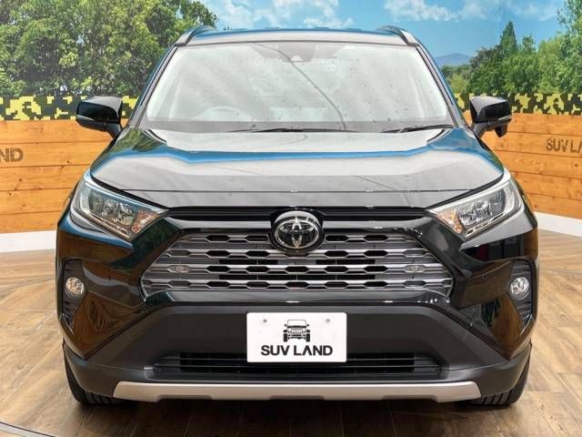 Toyota RAV4 2019-04 189236-14