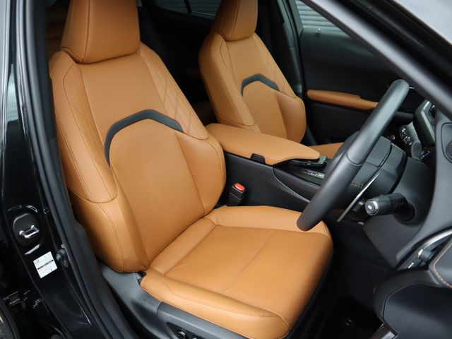 Lexus UX 2021-07 10290-8