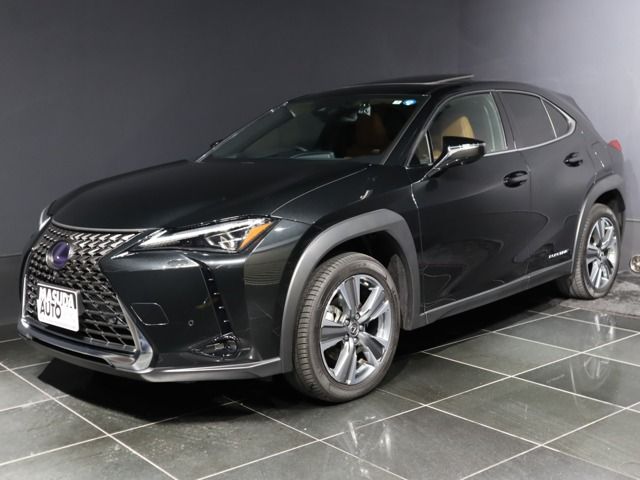 Lexus UX 2021-07 10290-0