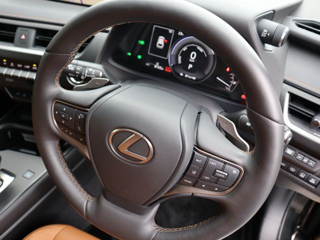 Lexus UX 2021-07 10290-12