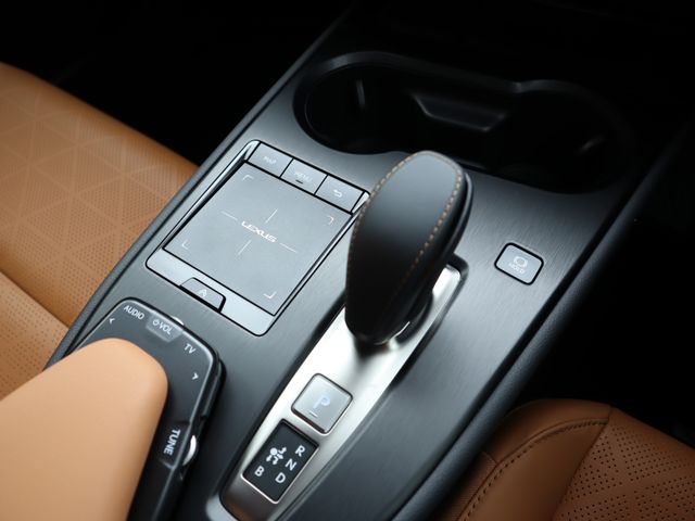Lexus UX 2021-07 10290-15