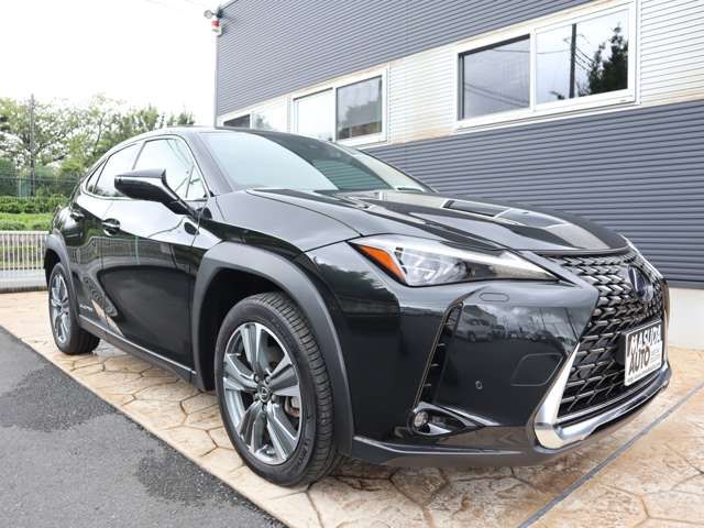 Lexus UX 2021-07 10290-2