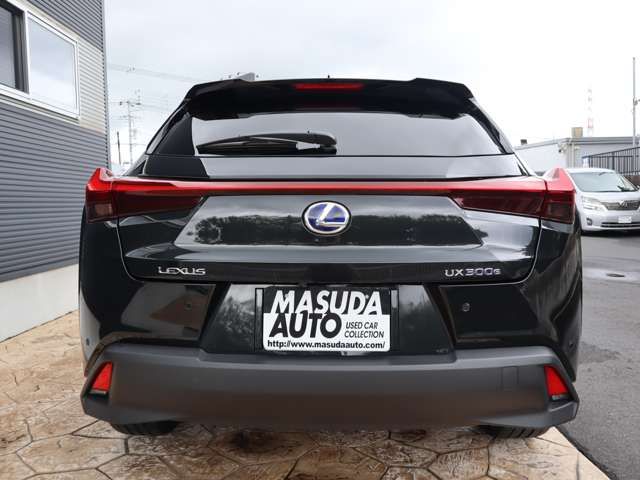 Lexus UX 2021-07 10290-5