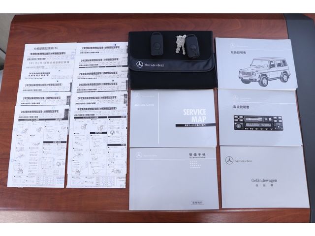Mercedes Benz G-CLASS 1995-07 509-29
