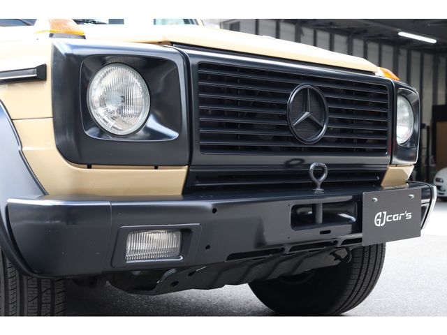 Mercedes Benz G-CLASS 1995-07 509-8