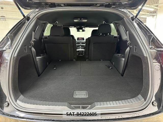 Mazda CX-8 2018-09 209865-19