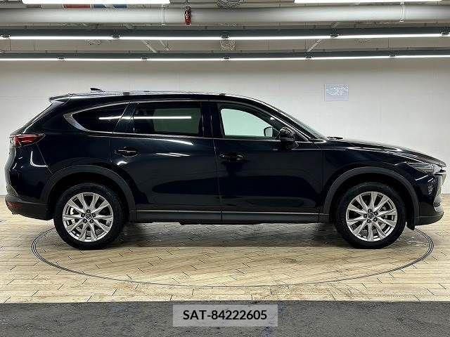 Mazda CX-8 2018-09 209865-17