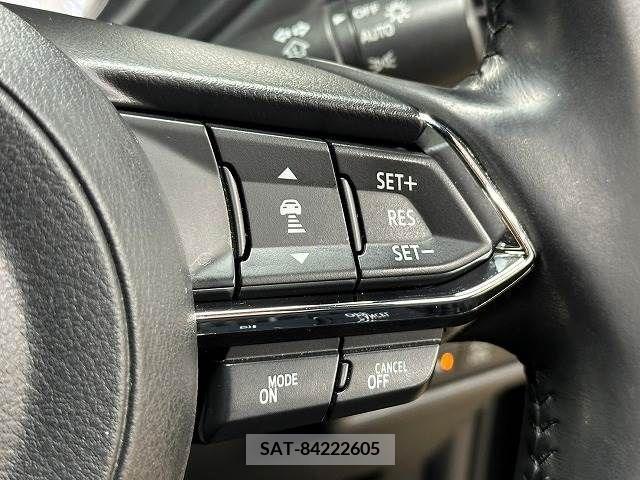 Mazda CX-8 2018-09 209865-14