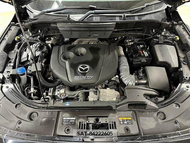 Mazda CX-8 2018-09 209865-13