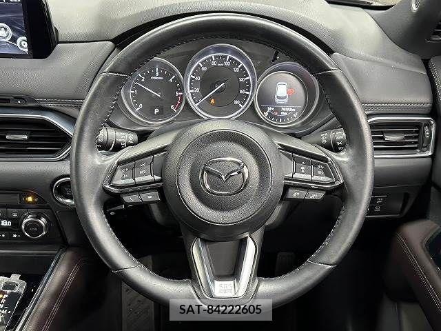 Mazda CX-8 2018-09 209865-12