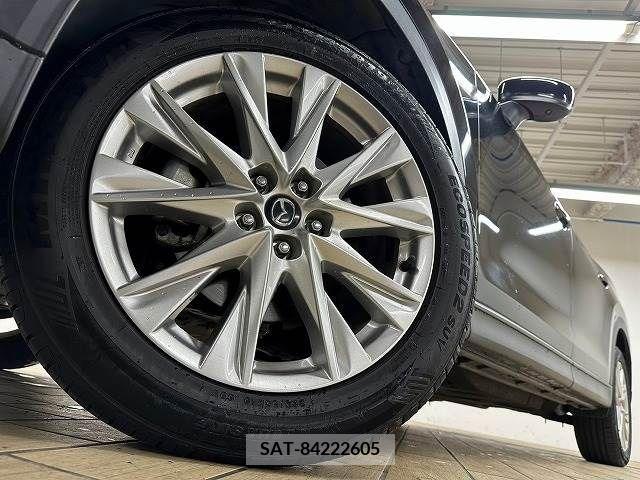 Mazda CX-8 2018-09 209865-10