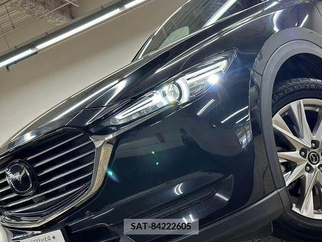 Mazda CX-8 2018-09 209865-9