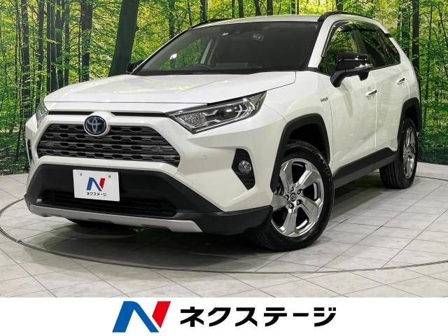 Toyota RAV4 2019-04 9403-0