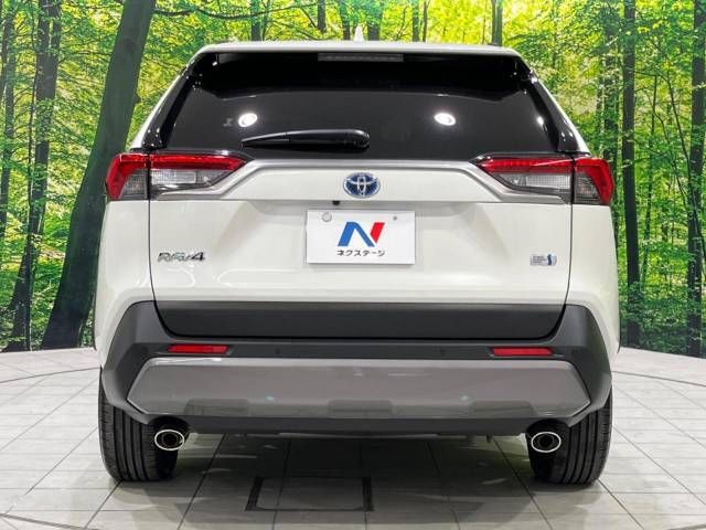 Toyota RAV4 2019-04 9403-15