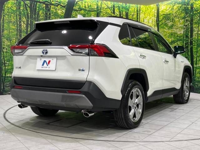 Toyota RAV4 2019-04 9403-17