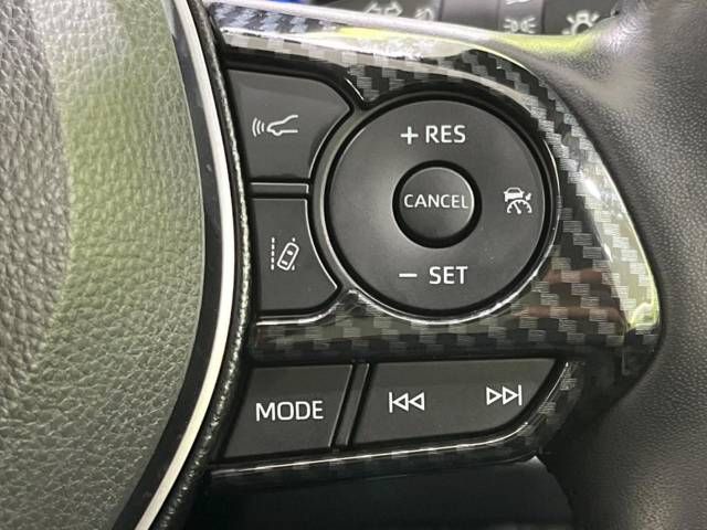 Toyota RAV4 2019-04 9403-4