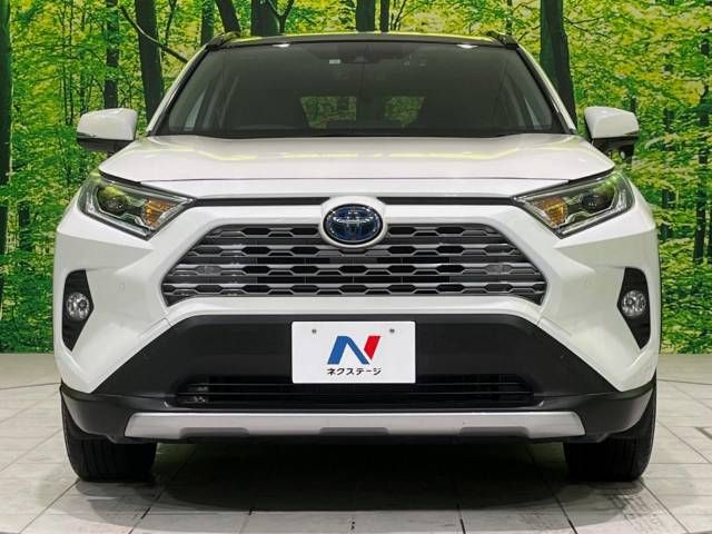 Toyota RAV4 2020-01 12402-14