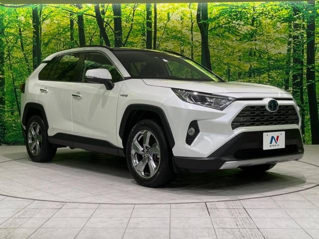 Toyota RAV4 2020-01 12402-16