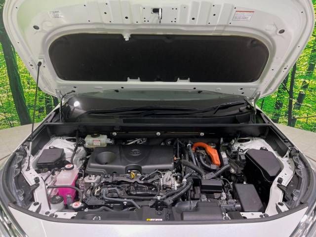 Toyota RAV4 2020-01 12402-19