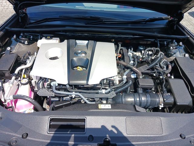 Lexus ES 2020-06 6928-29