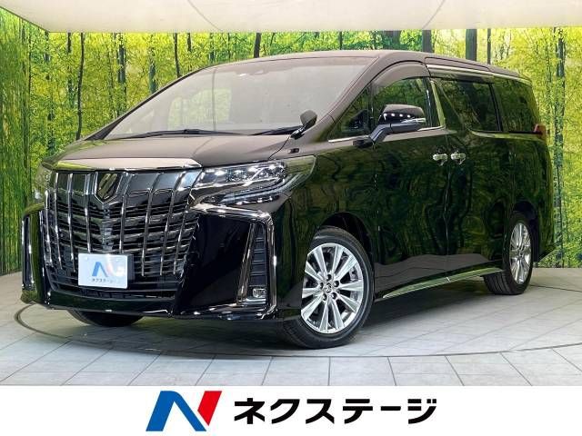 Toyota ALPHARD 2021-02 188196-0