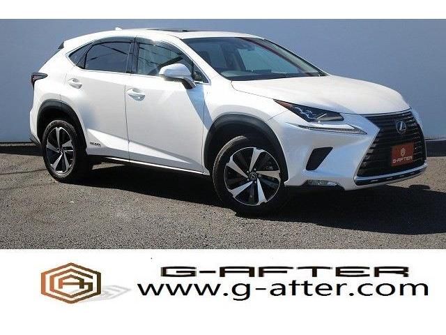 Lexus NX 2017-12 20646-0