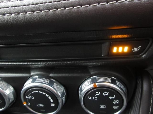Mazda DEMIO 2017-06 13739-20