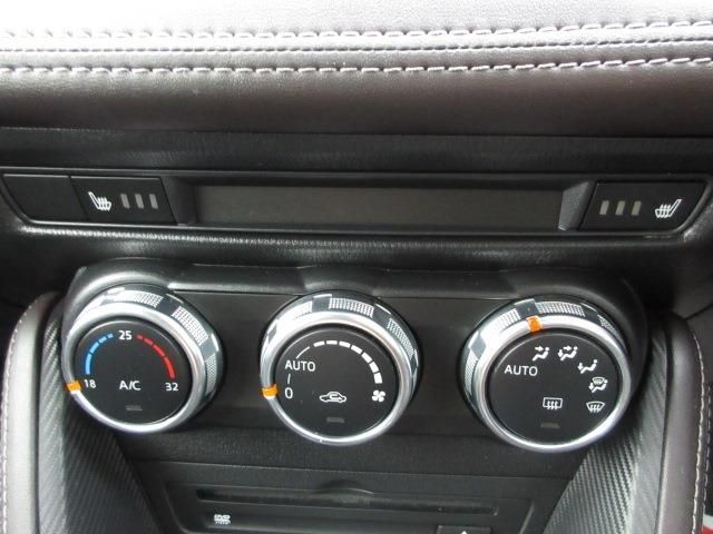 Mazda DEMIO 2017-06 13739-14