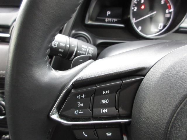 Mazda DEMIO 2017-06 13739-11