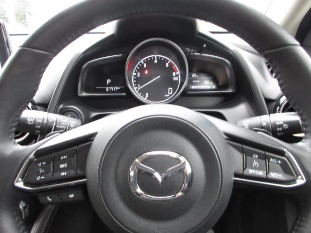 Mazda DEMIO 2017-06 13739-10