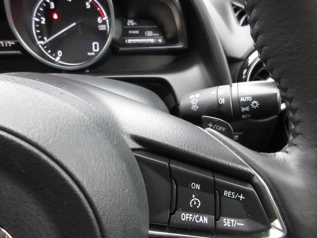 Mazda DEMIO 2017-06 13739-12