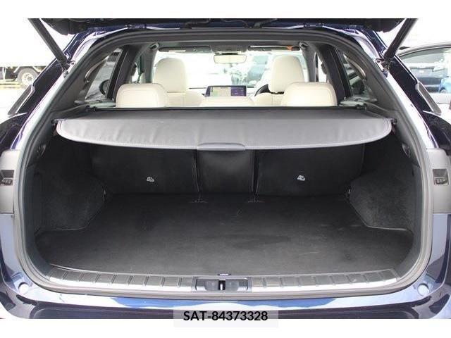 Lexus RX 2016-12 354376-17