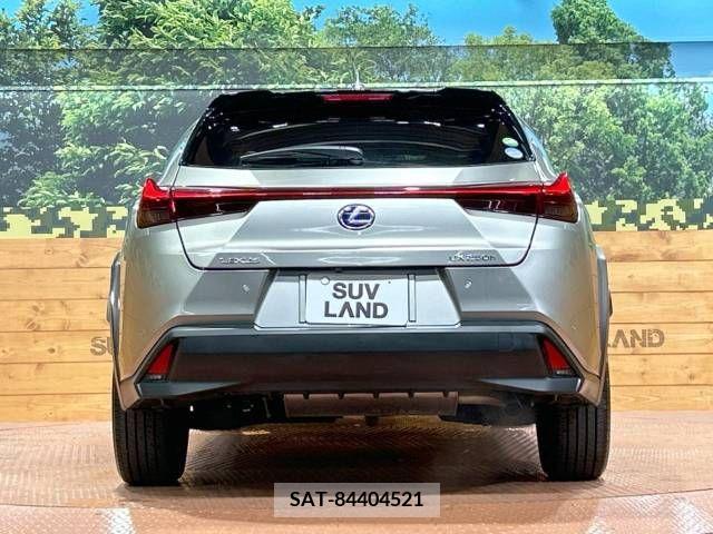 Lexus UX 2019-07 221967-15