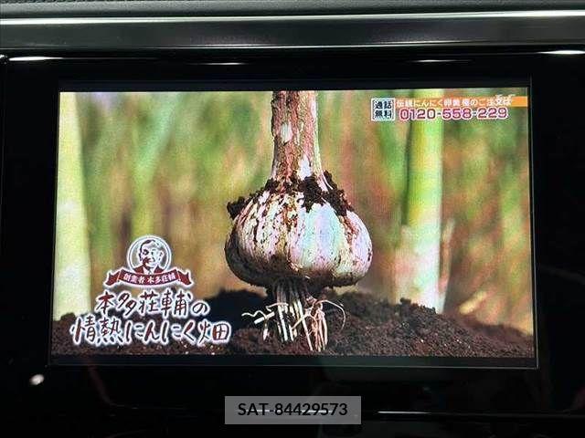 Toyota ALPHARD 2022-07 355380-2