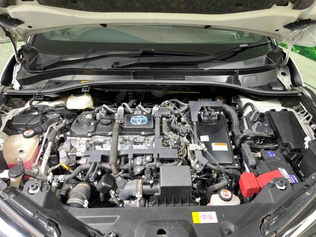 Toyota C-HR 2017-11 9968-19
