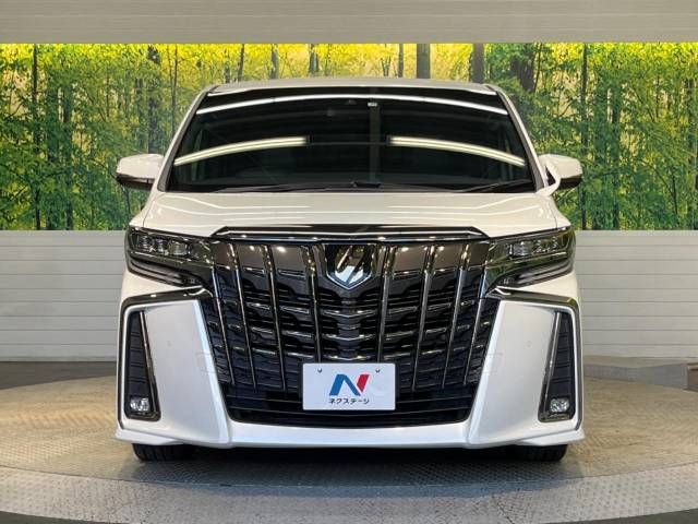 Toyota ALPHARD 2021-10 9686-14