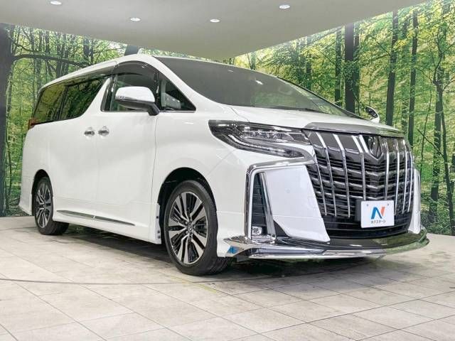 Toyota ALPHARD 2021-11 196642-17