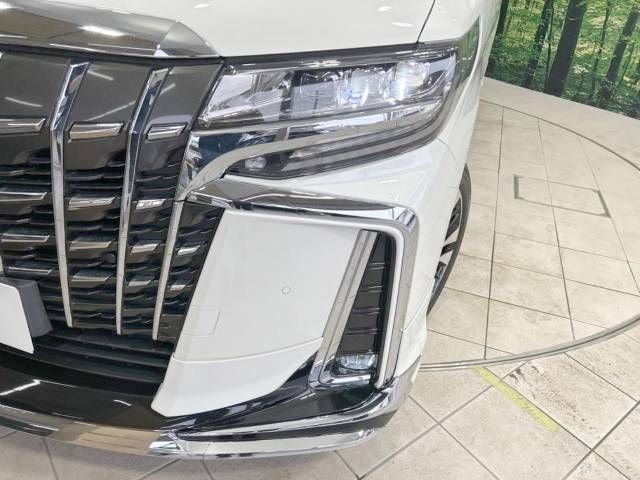 Toyota ALPHARD 2021-11 196642-13