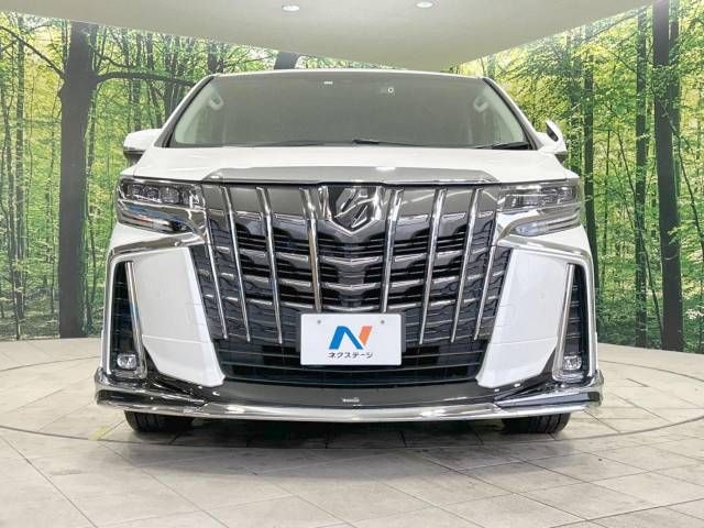 Toyota ALPHARD 2021-11 196642-15