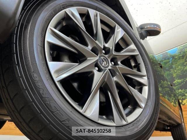 Mazda CX-8 2019-09 396264-14