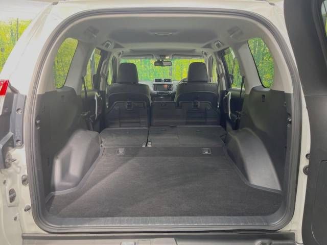 Toyota PRADO 2017-06 192482-10