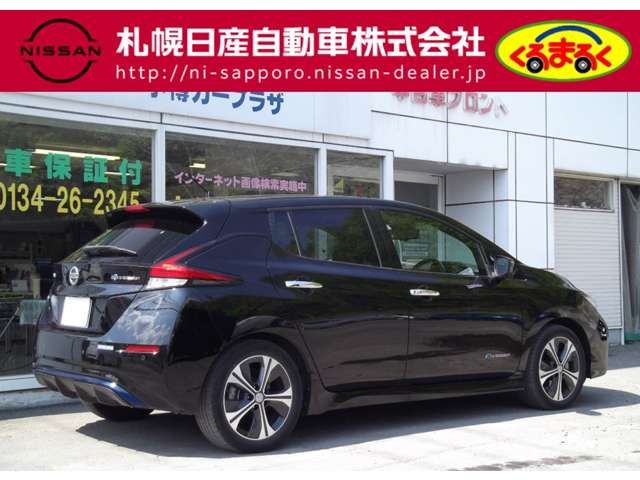 Nissan LEAF 2017-12 3228-1