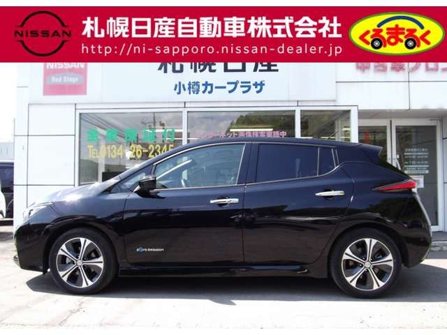 Nissan LEAF 2017-12 3228-17