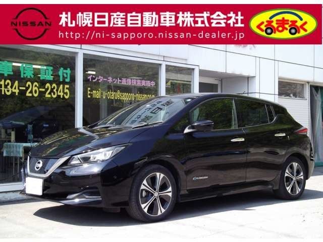 Nissan LEAF 2017-12 3228-0