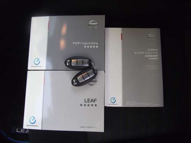 Nissan LEAF 2017-12 3228-18