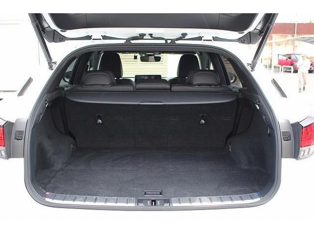 Lexus RX 2020-07 12102-17