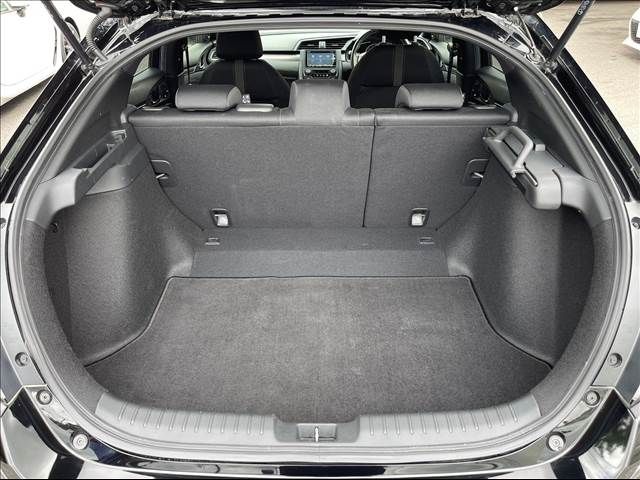 Honda CIVIC 2018-06 21171-12