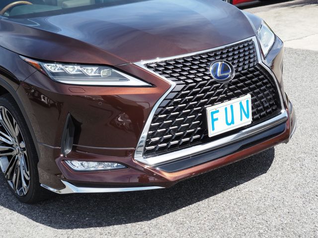 Lexus RX 2019-11 6408-4