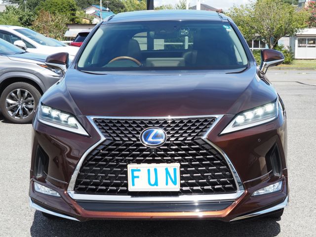 Lexus RX 2019-11 6408-1