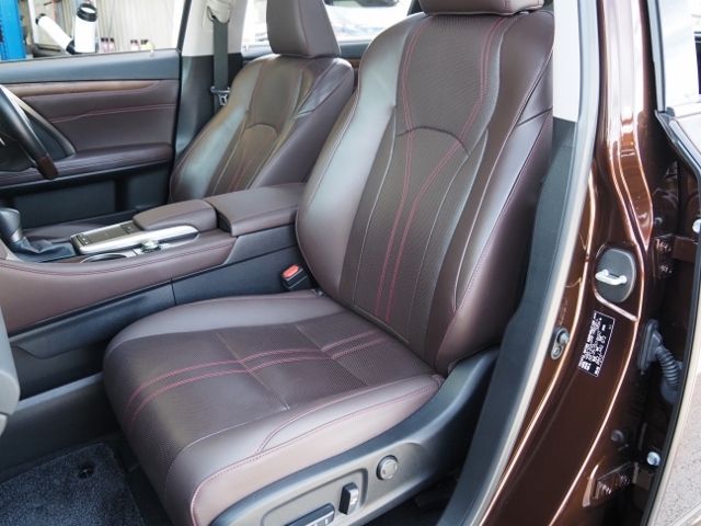 Lexus RX 2019-11 6408-13